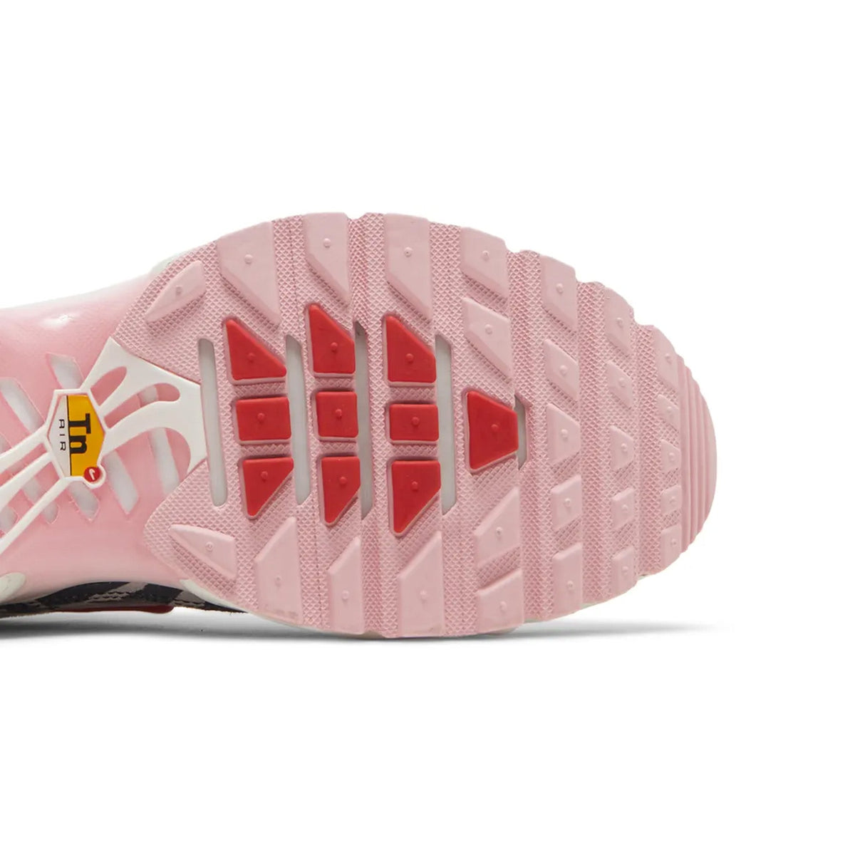 Nike Air Max Plus TN 'Animal Instinct' Women's (2022)