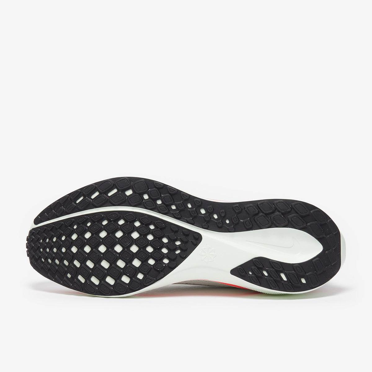 Nike Pegasus 41
