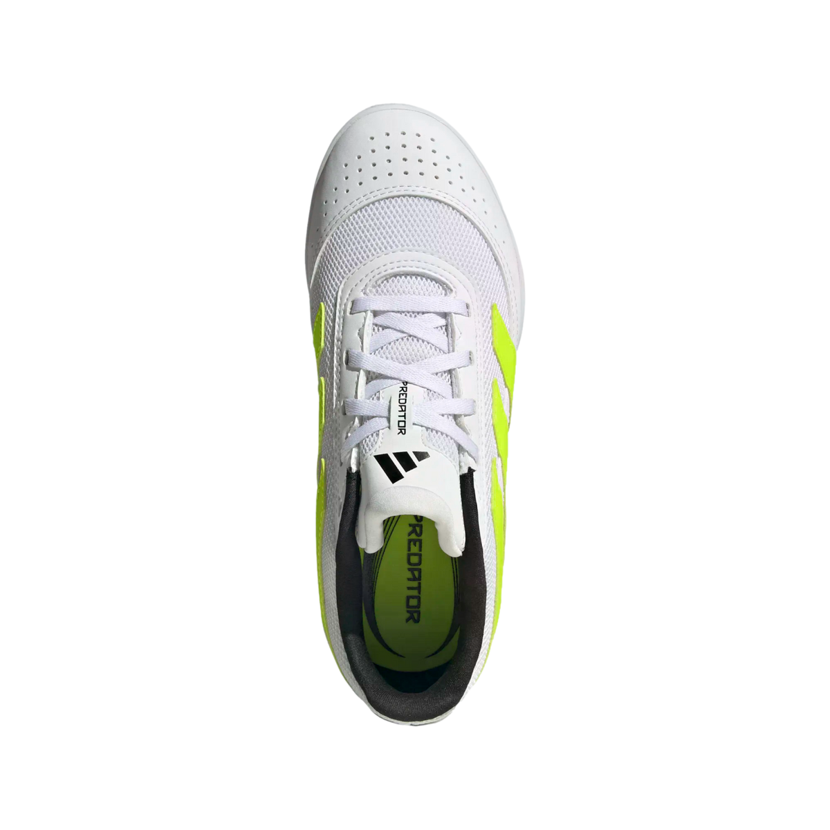 Adidas Predator Club Sala Youth Indoor Shoes