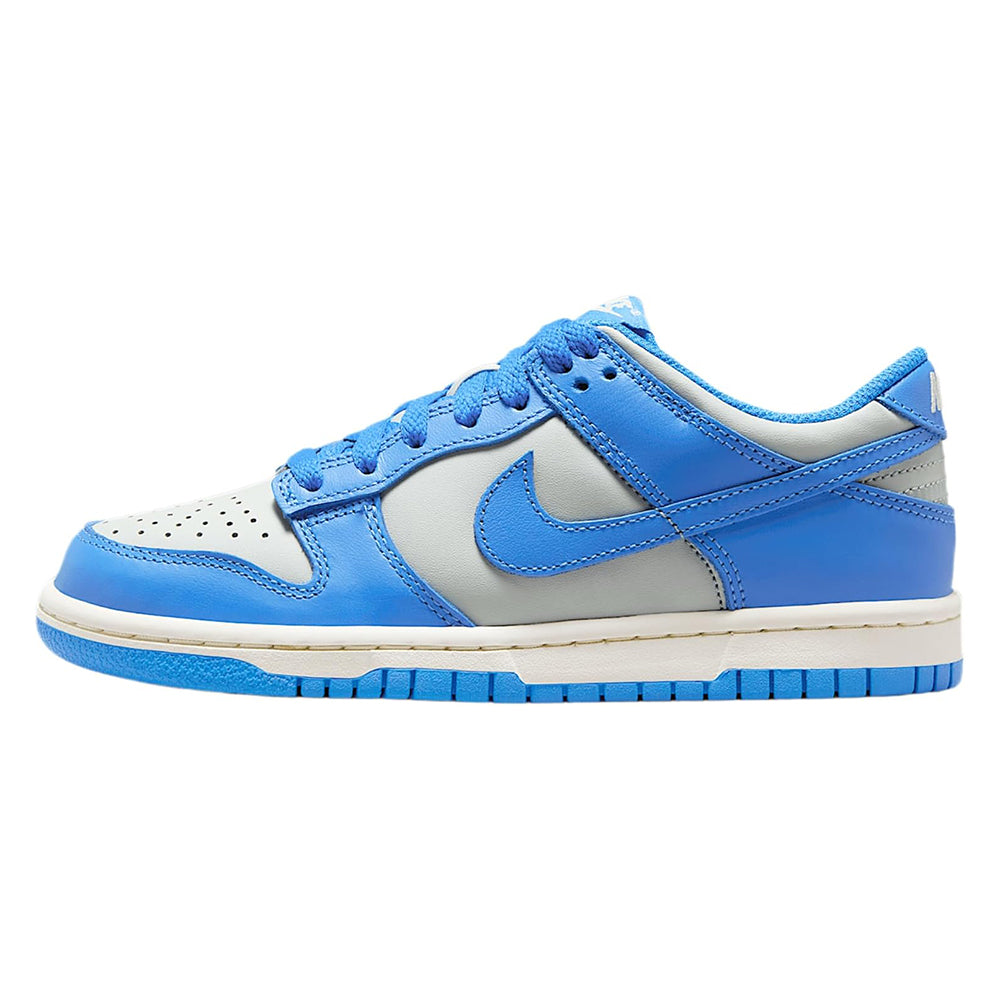 Big Kid's Nike Dunk Low Light Silver/LT Photo Blue (FB9109 004)