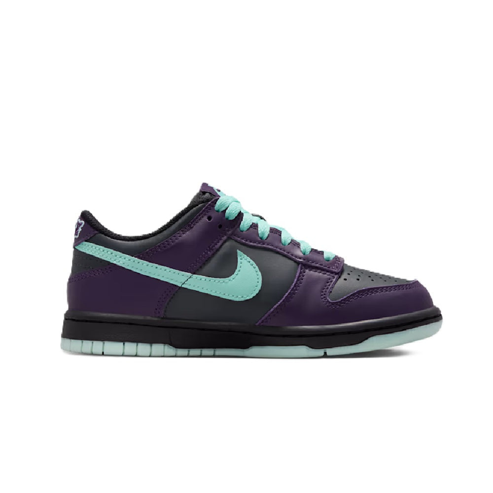 Big Kid's Nike Dunk Low DK Smoke Grey/Artisan Teal (FB9109 013)